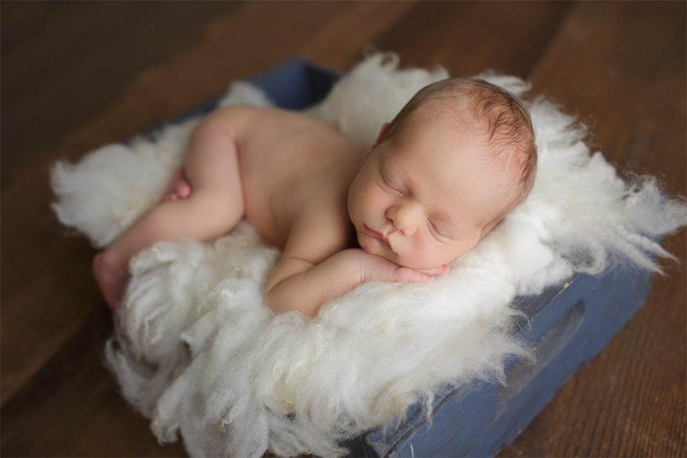 tacoma puyallup newborn baby photographer session