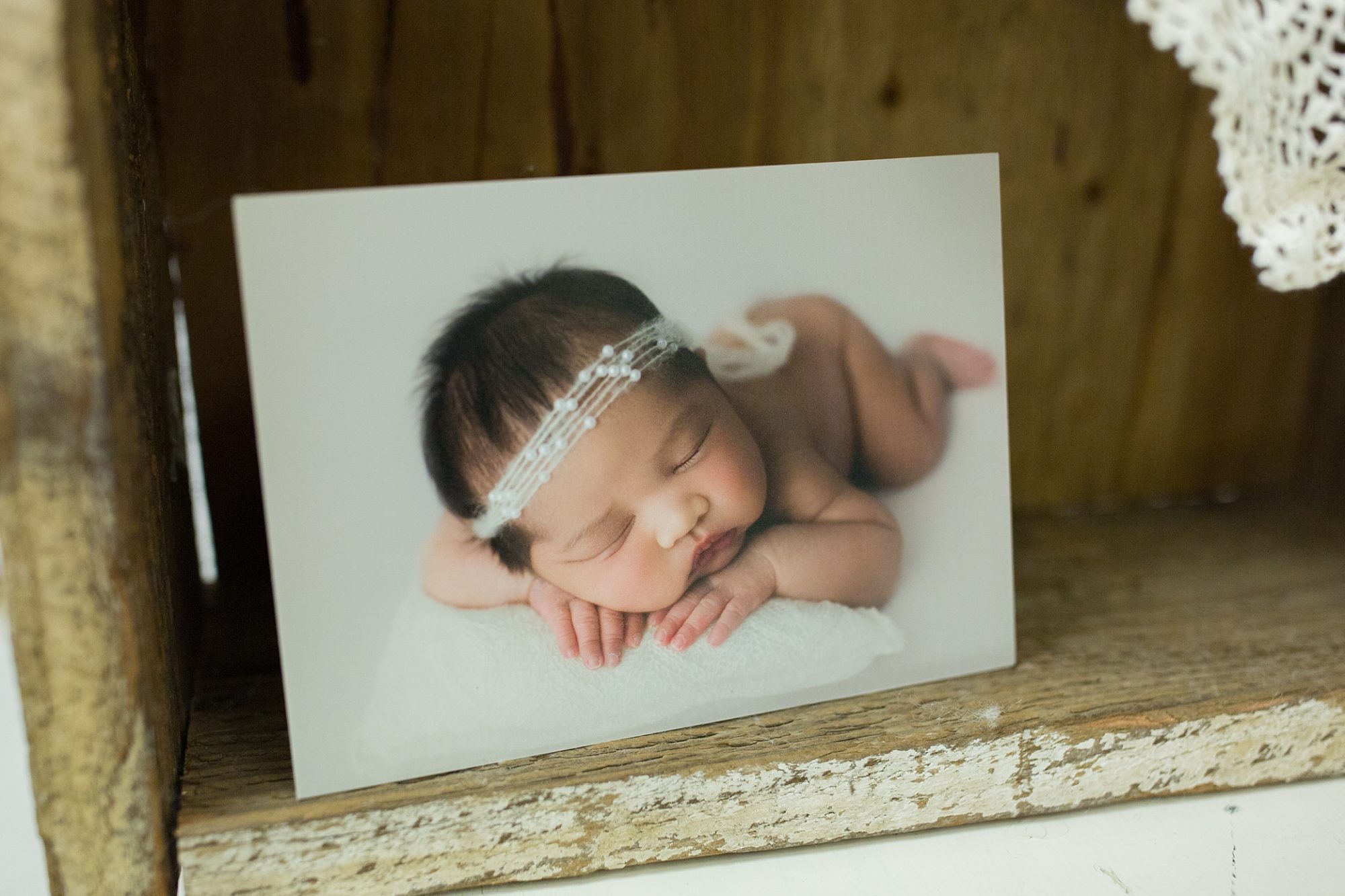newborn expo display | baby fest northwest | seattle newborn photographer