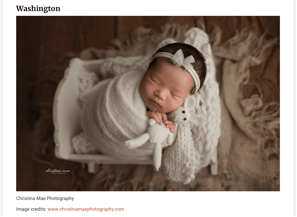 best newborn photographer washington state | bored panda | newborn photographer seattle
