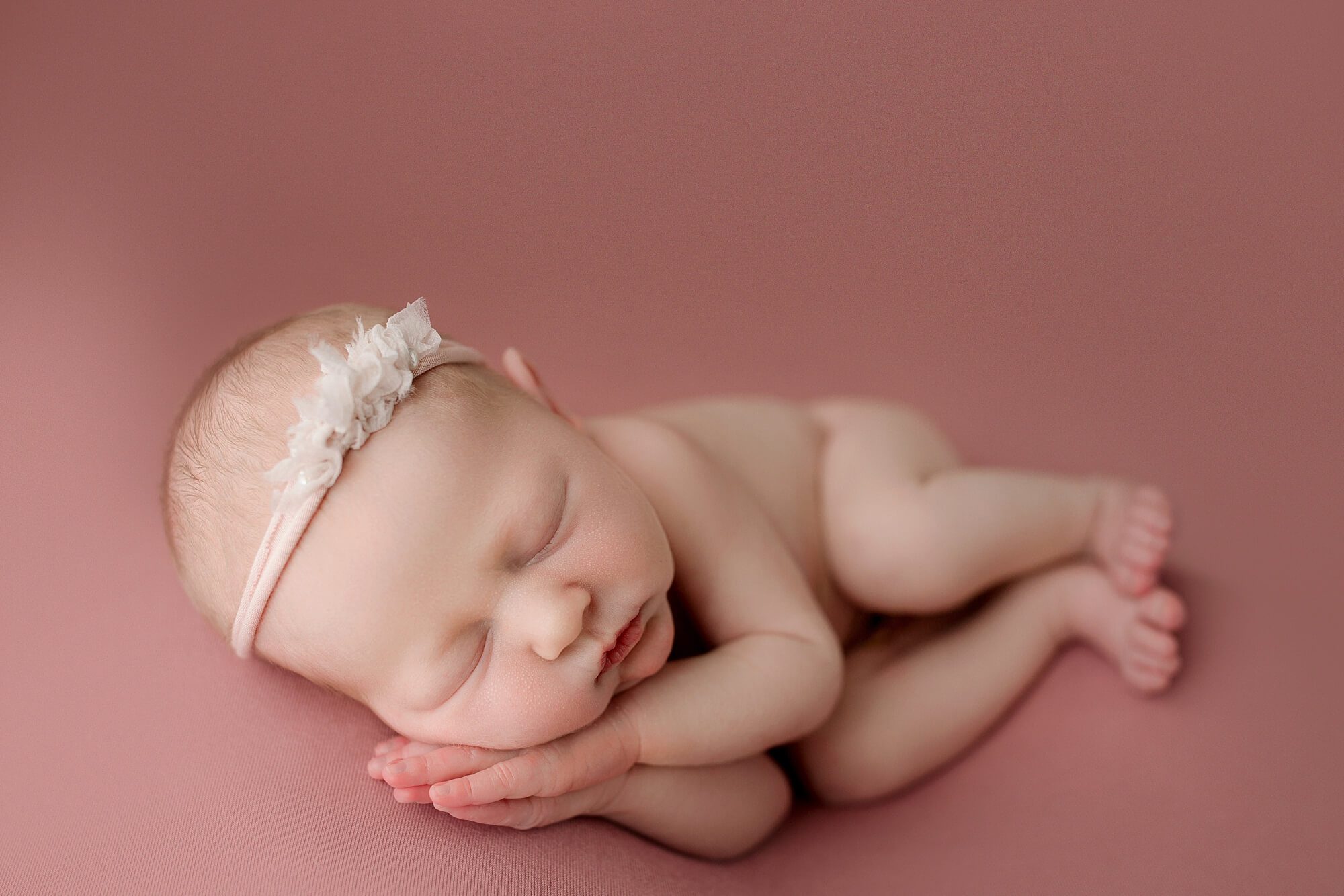 posed newborn photographer tacoma wa