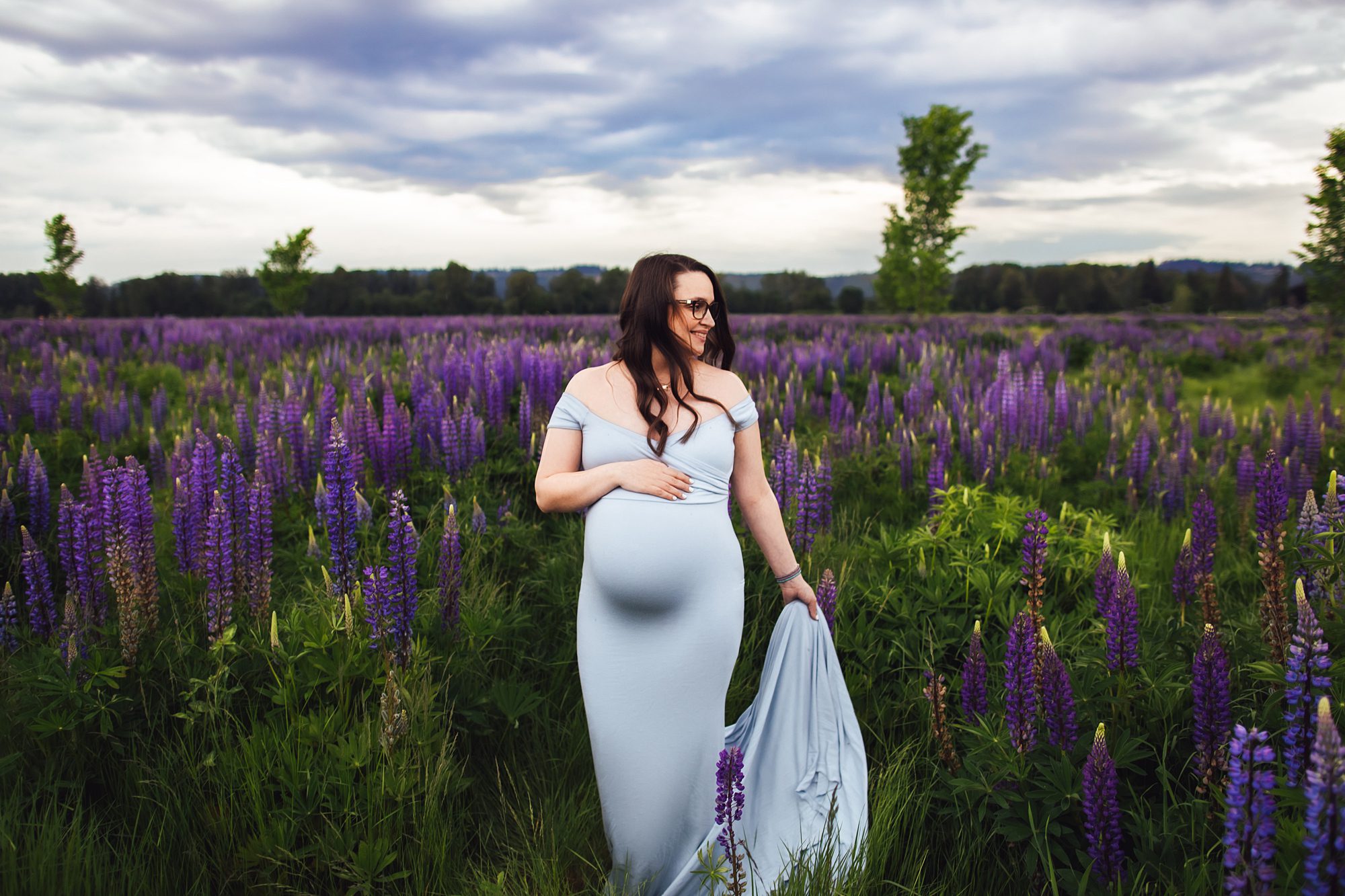 puyallup farm 12 lupines maternity photography session
