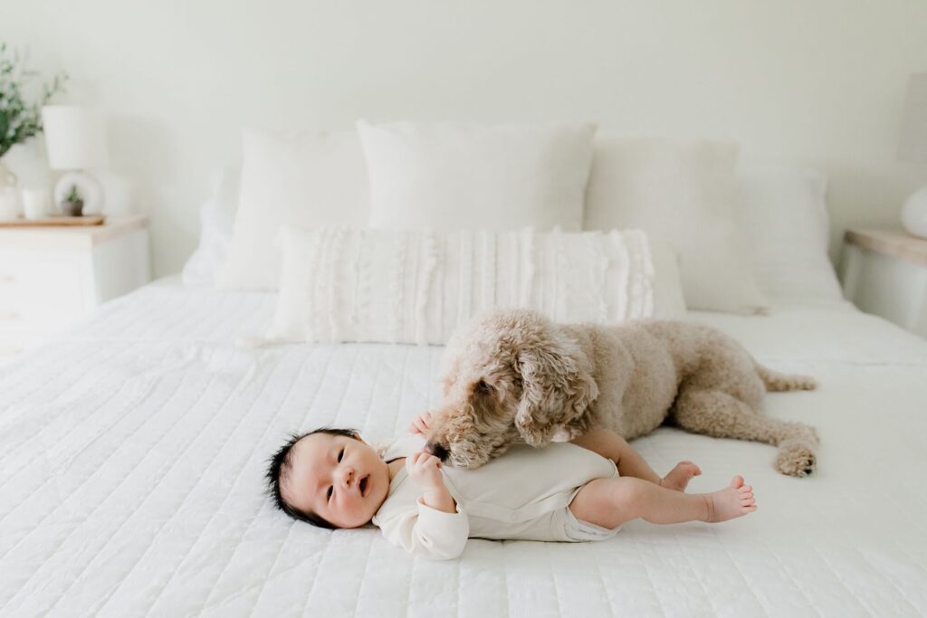 edmonds seattle lifestyle newborn family session with baby boy and dog