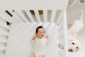 edmonds seattle lifestyle newborn family session with baby boy and dog