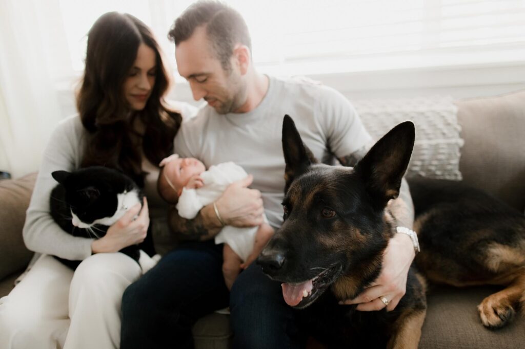 maple valley Washington lifestyle newborn family photography session with cat and dog
