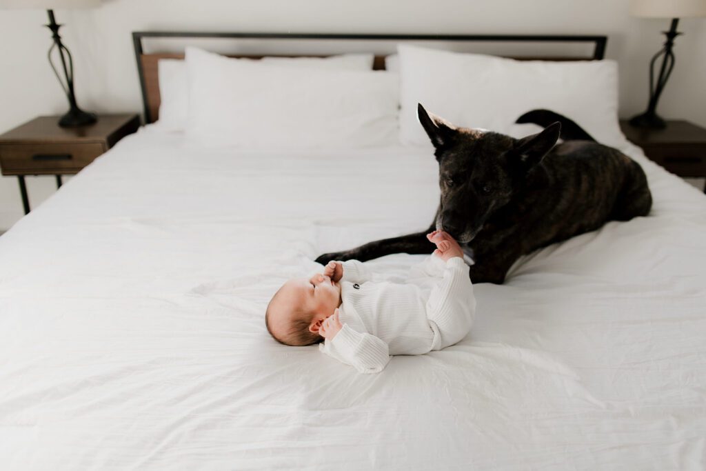 seattle lifestyle family newborn photographer