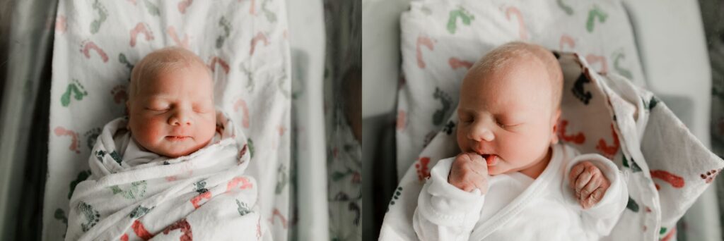 tacoma fresh 48 newborn photographer