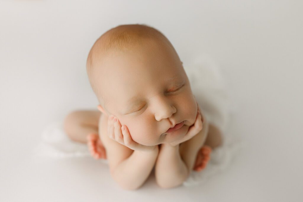 Puyallup Studio Newborn Photographer  