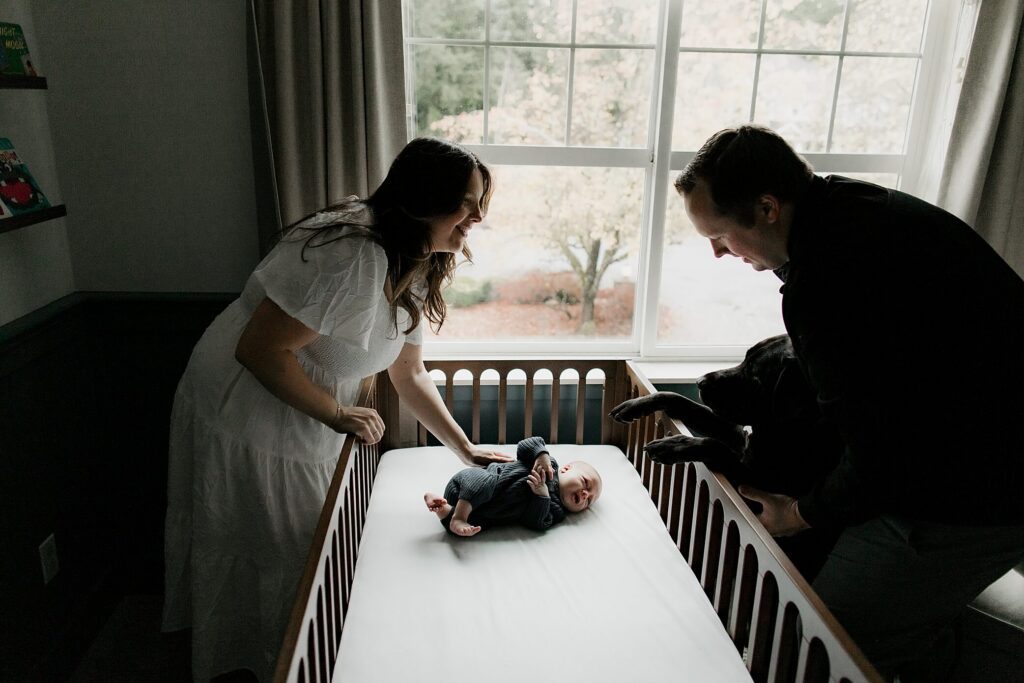 maple valley black diamond newborn photographer