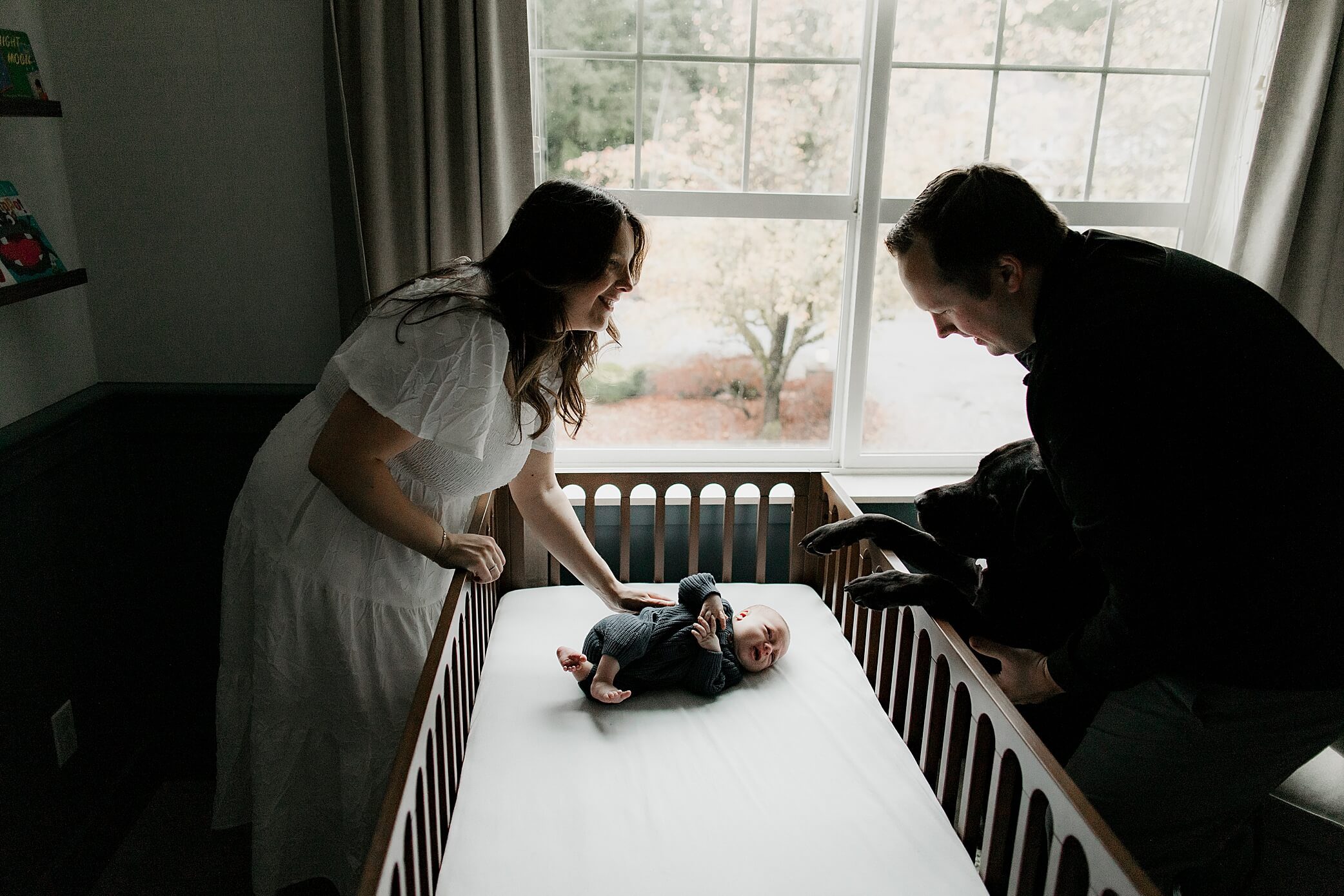 maple valley black diamond newborn photographer