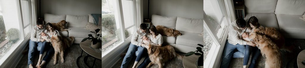in-home newborn photography Seattle session in living room using natural window light